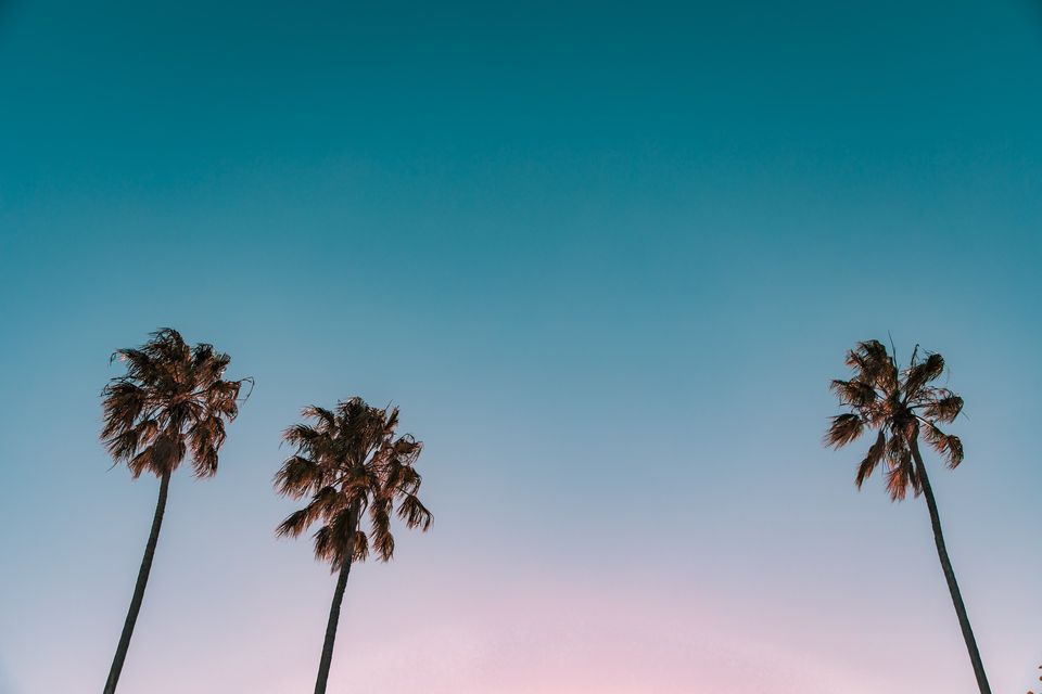 trees